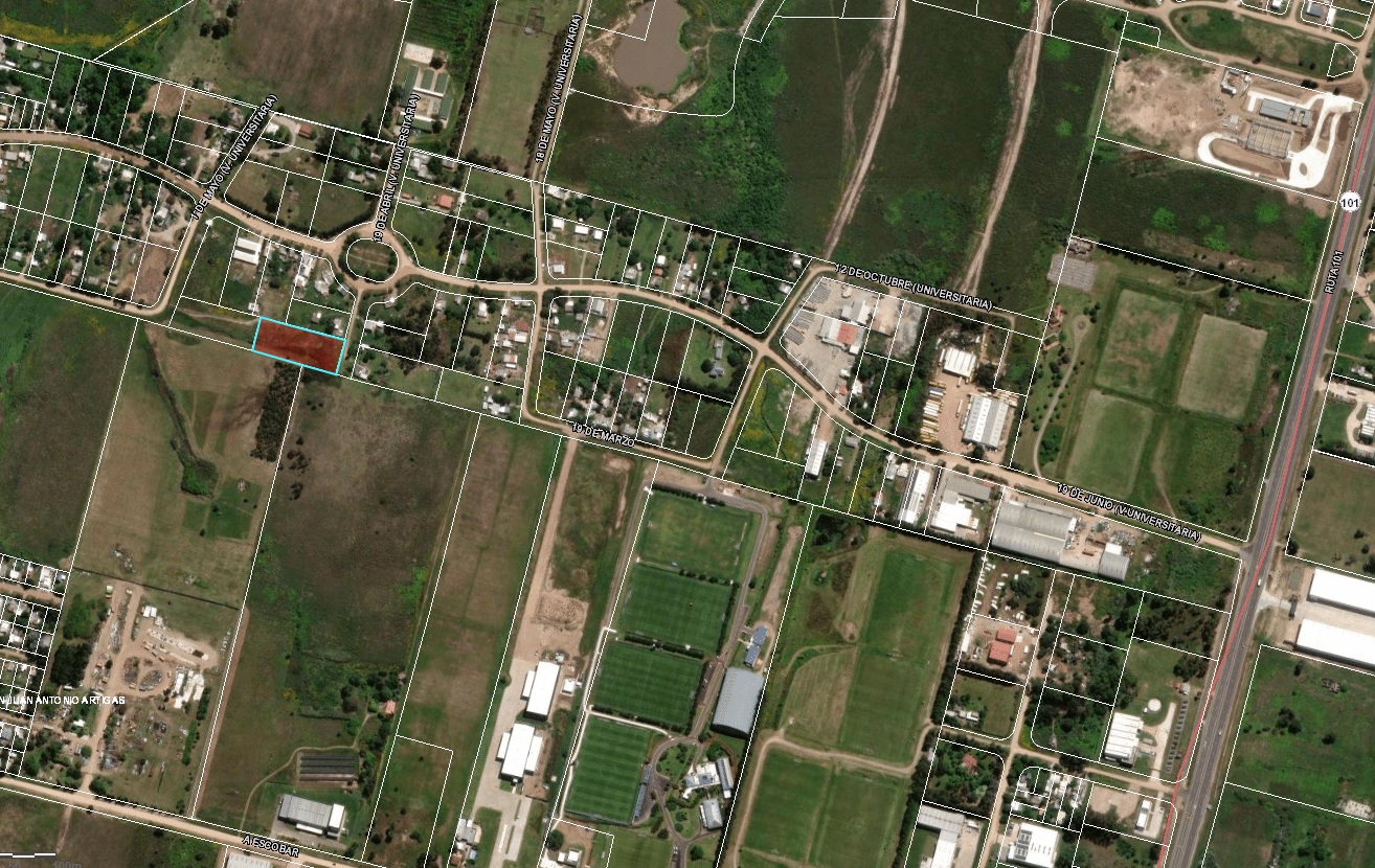 TerrenosBarrosBlancosZoomAlto